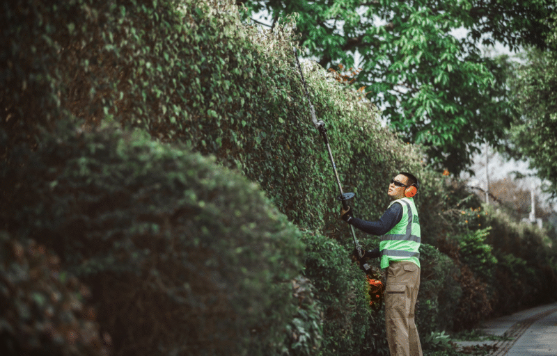 Echo HCA-265ES-HD Petrol Long Reach Hedge Cutter - Image 3